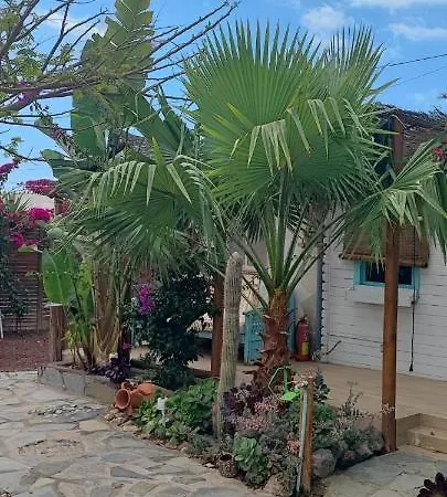 Beautiful En Vv Con Wifi,netflix Cerca Del Mar Hébergement de vacances Las Galletas