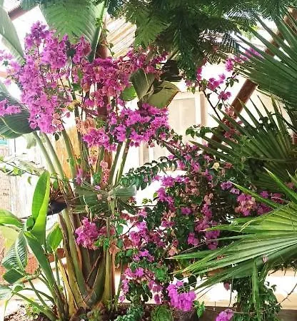 Beautiful En Vv Con Wifi,netflix Cerca Del Mar *