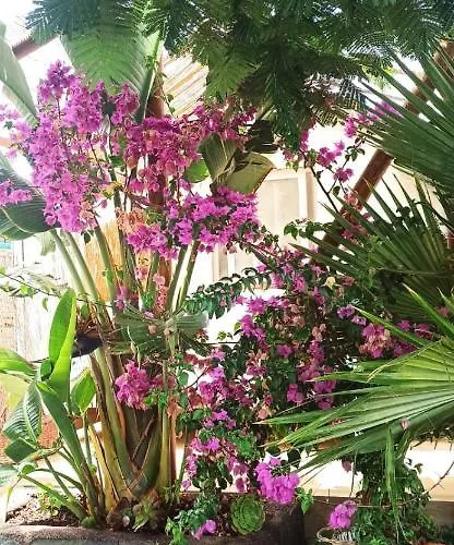 Beautiful En Vv Con Wifi,netflix Cerca Del Mar *