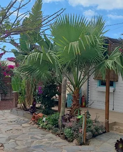 Beautiful En Vv Con Wifi,netflix Cerca Del Mar Holiday home Las Galletas