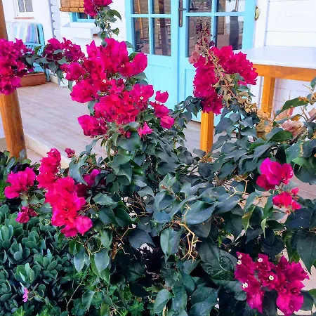 Beautiful En Vv Con Wifi,netflix Cerca Del Mar