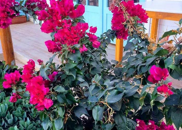 Beautiful En Vv Con Wifi,netflix Cerca Del Mar